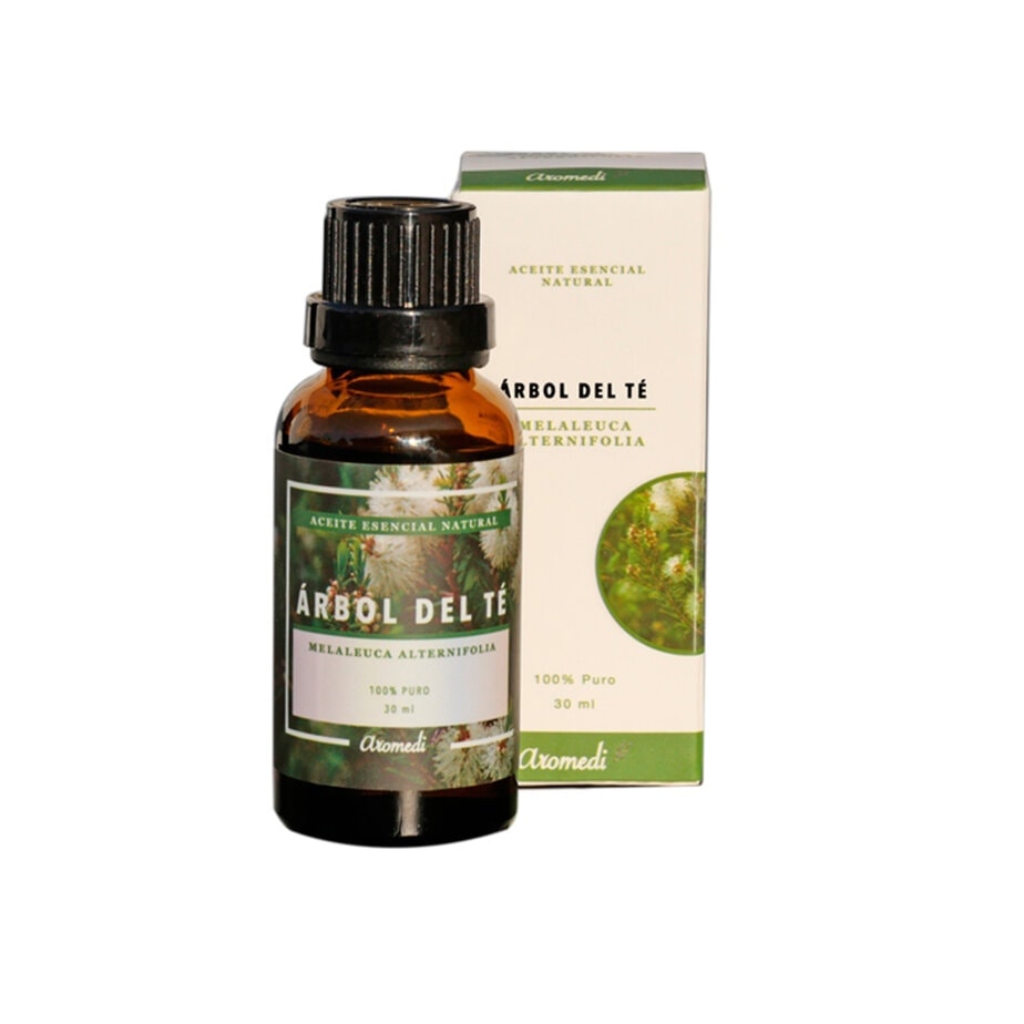 árbol-del-té
